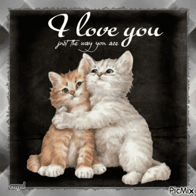 two kittens hugging with the words i love you just the way you are on the bottom