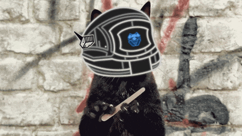 a cat with a helmet on its head holds a toothbrush