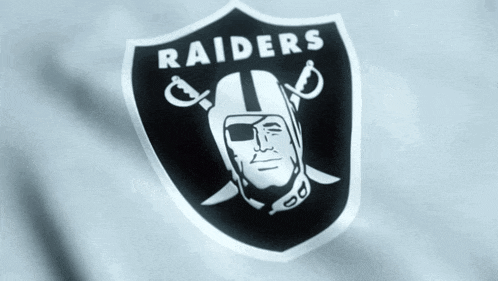 a logo for the raiders with a man wearing a helmet and sword