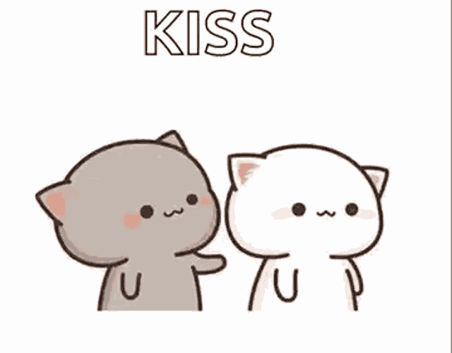 two cats are kissing each other on the cheeks .