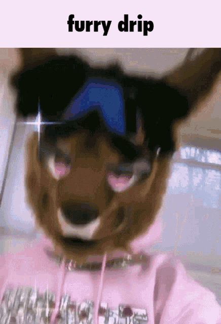 a furry dog wearing sunglasses and a pink hoodie with the words furry drip below it