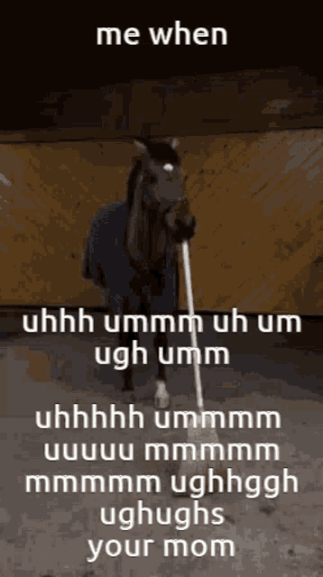 Horse Umm GIF - Horse Umm Uhhh GIFs