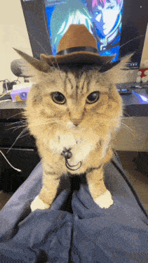a cat wearing a cowboy hat looks at the camera