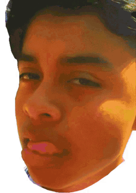 a close up of a young man 's face with the sun shining on his face