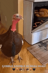 a turkey is standing in front of an oven with a roasted turkey in it .