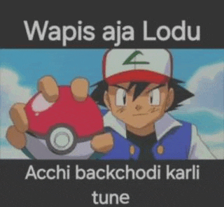 a cartoon character is holding a pokeball in his hand and says wapis aja lodu acchi backchodi karli tune .