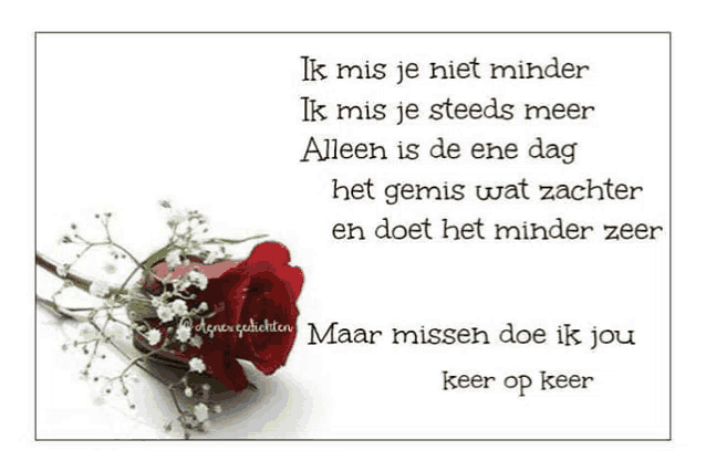 a red rose with baby 's breath on it is on a white background with a greeting in a foreign language .