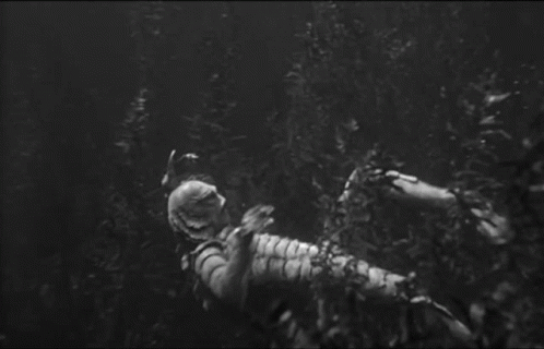Swimming The Gill Man GIF - Swimming The Gill Man Creature From The Black Lagoon GIFs