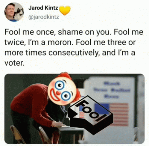Voting Truth GIF - Voting Truth Humor GIFs