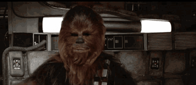 a picture of chewbacca wearing sunglasses with the words hrrrgrgrar written below it