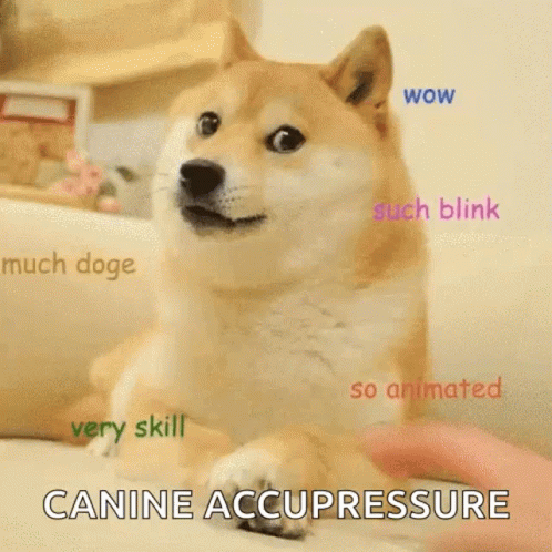 Doge Canine GIF - Doge Canine Acupressure GIFs