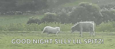 a sheep and a cow are standing in a grassy field with the words `` good night silly lil spitz '' .