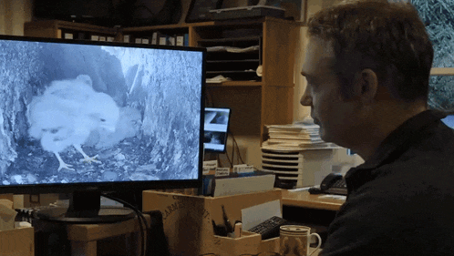 a man sits at a desk looking at a monitor that says army on it