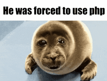 He Was Forced To Use Php Seal GIF - He Was Forced To Use Php Php Seal GIFs