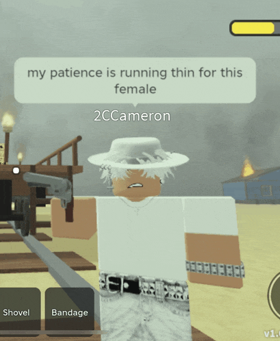 a video game character says " my patience is running thin for this female 2c cameron "