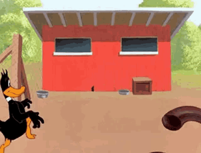 daffy duck is standing in front of a red barn in a cartoon scene .