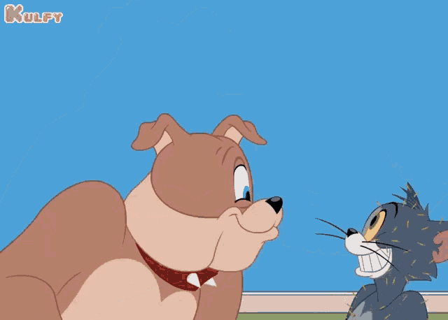 a cartoon of a dog and a cat shaking hands with kulfy written on the bottom