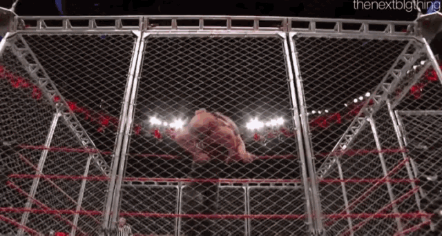 a wrestling match is taking place in a cage with a fence .