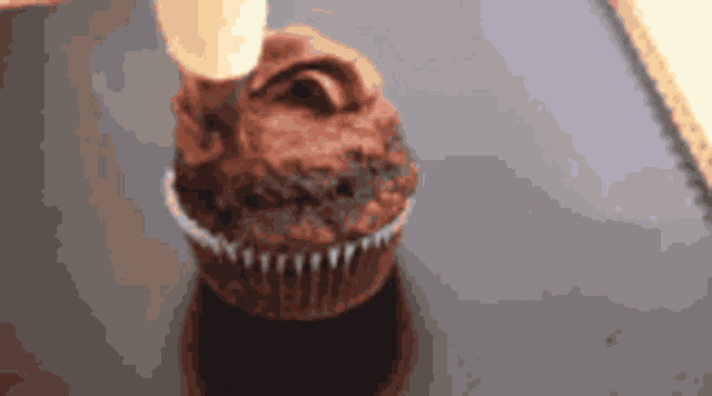 a close up of a chocolate cupcake with icing on it