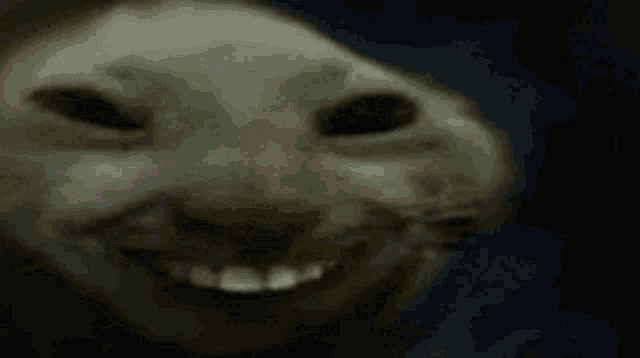 a close up of a cat 's face with its eyes closed in a dark room .