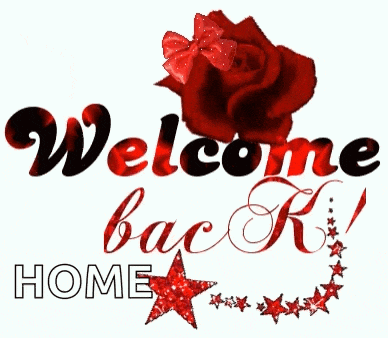 a red rose with a bow is surrounded by the words welcome back home