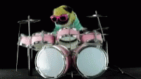 Pug Drummer GIF - Pug Drummer GIFs