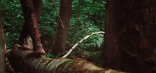 Katniss Hunting GIF - Katniss Hunting Katnisseverdeen GIFs
