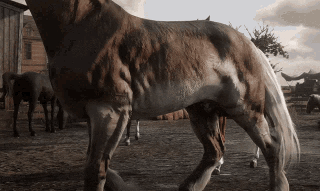 Rdr2 Red Dead Redemption2 GIF - Rdr2 Red Dead Redemption2 Horses GIFs
