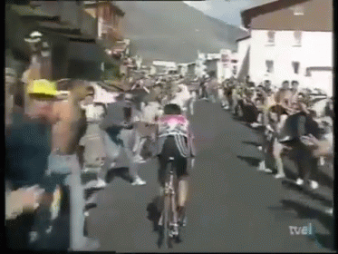Tour De France Takedown GIF - Bikes Tour De Fance Crash GIFs