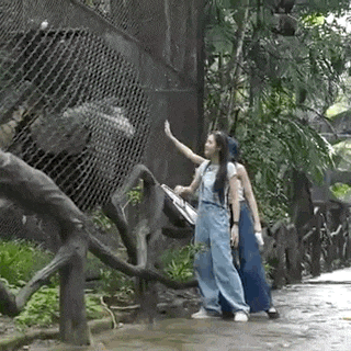 two women are standing next to a fence looking at a bear .