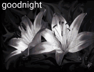 Goodnight Flowers GIF