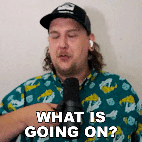 What Is Going On Austin Dickey GIF - What Is Going On Austin Dickey The Dickeydines Show GIFs