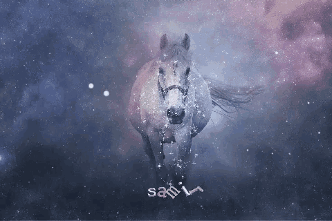 a picture of a horse with the name sami on the bottom right