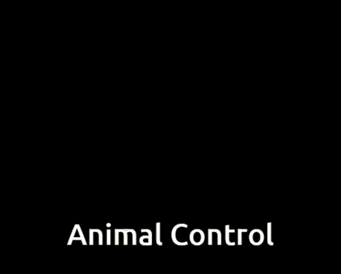 Animal Control Dfta GIF - Animal Control Dfta Dead Reckoning GIFs