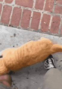 a cat is laying on the ground next to a person 's leg