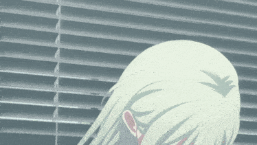 a close up of a person 's head with a blind in the background