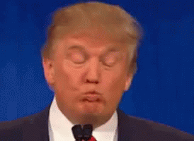 Thinkin It Over GIF - Donald Trump Thinking Puckered GIFs