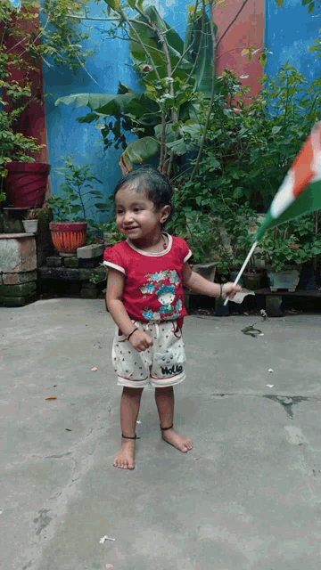 Baby Girl Indian Flag GIF - Baby Girl Indian Flag Ak Amit GIFs