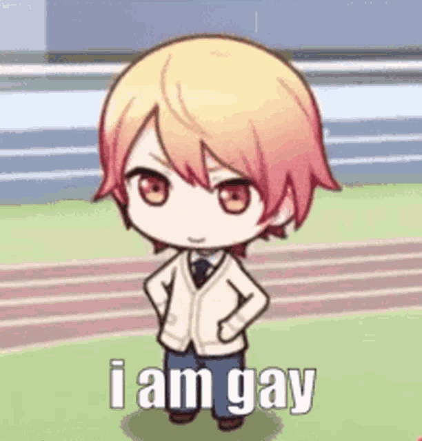 a chibi boy is standing on a track with his hands on his hips and says `` i am gay '' .