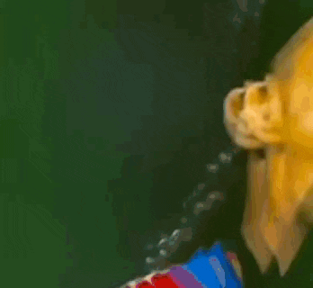 a blurry image of a man 's face with his mouth open