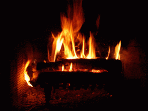 Homely Fire GIF - Homely Fire Fireplace GIFs