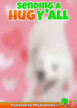 a picture of a white dog with the words sending a hug ' all behind it