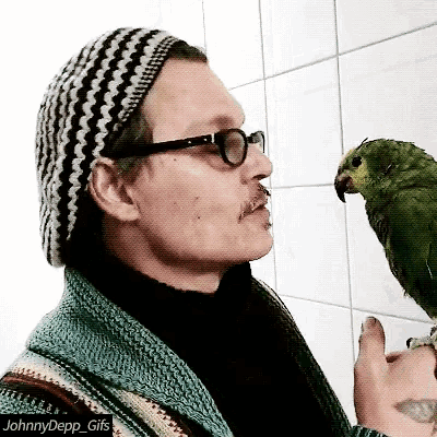 Johnny Depp Parrot GIF - Johnny Depp Parrot Bird GIFs