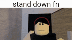 a picture of a roblox character with the words stand down fn on it
