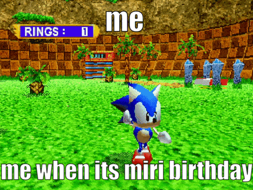 a screenshot of sonic the hedgehog in a video game says me when its miri birthday