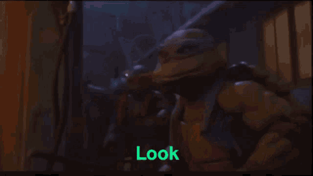 Donatello Look Its Raph GIF - Donatello Look Its Raph Yeah A Little Too Raph GIFs