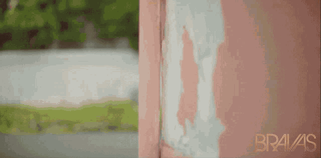 a pink wall with bravas written on the bottom