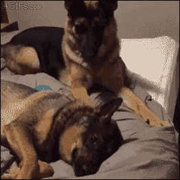 Wakeup Friends GIF - Wakeup Friends Bother GIFs