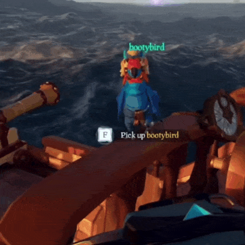 a video game character named bootybird is standing in the water