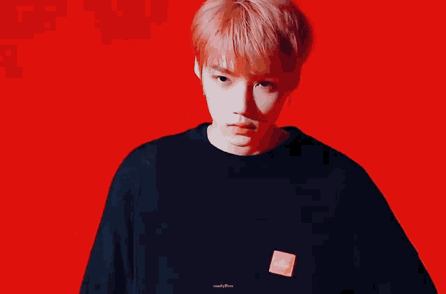 Chanhee New The Boyz GIF